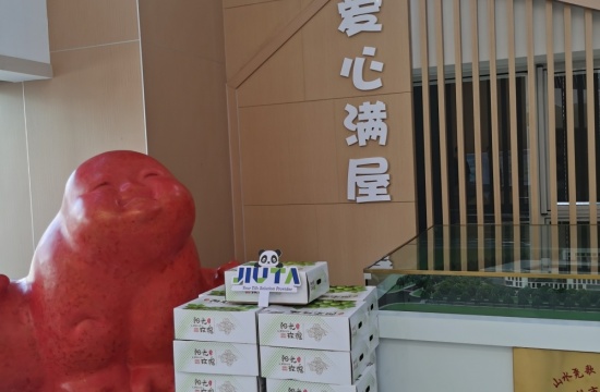 祥彩网爱心月捐赠活动